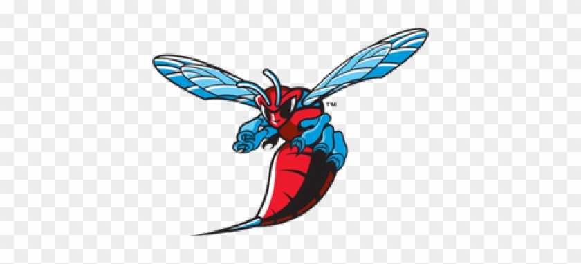 Men's Track & Field - Delaware State University Hornets Logo #180023