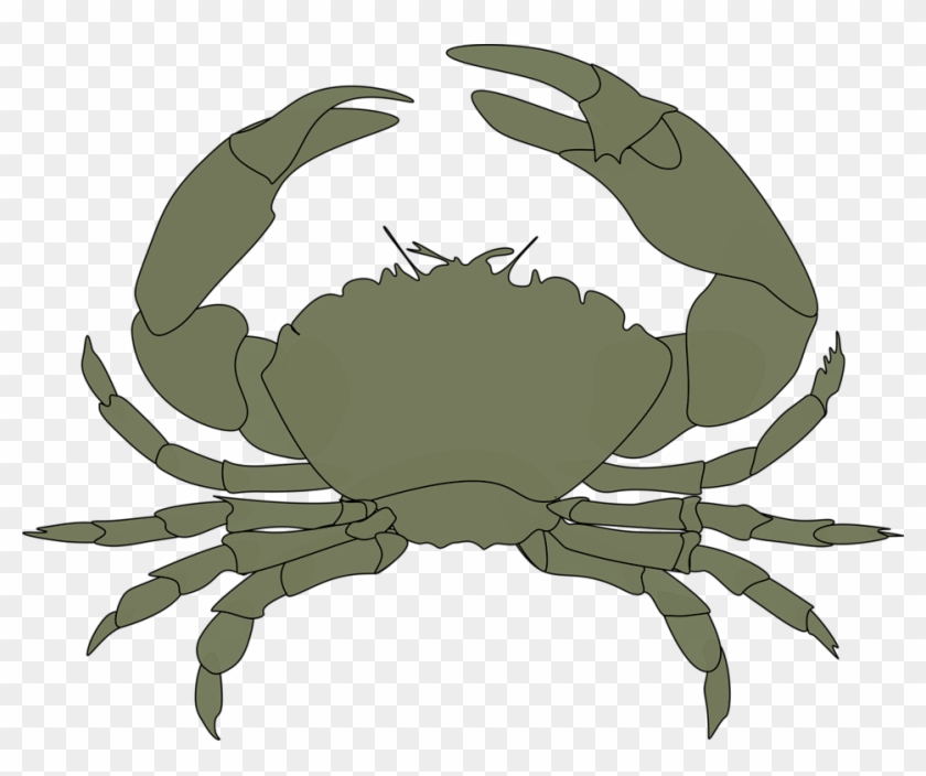 Different Types Of Crab #180041