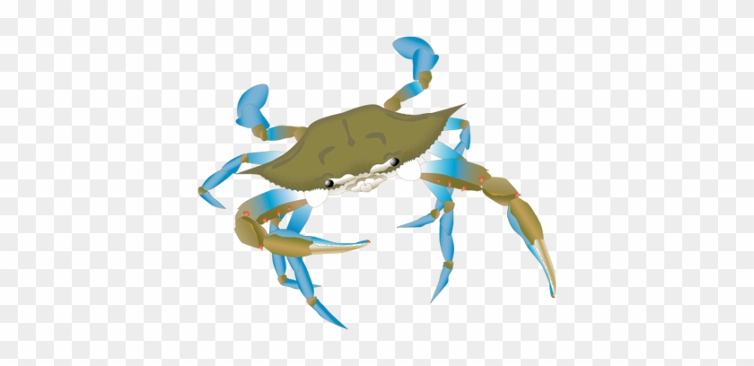 Clipart Info - Blue Crab Vector Png #180042