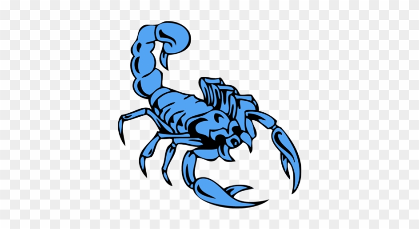 Vector Scorpion Tattoos Png Images - Blue And Orange Scorpion #180155
