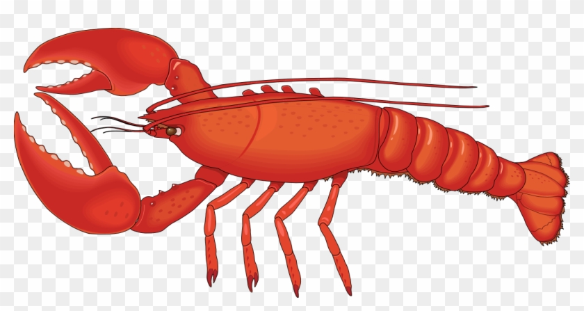 Udang Clipart - Lobster Png #180175