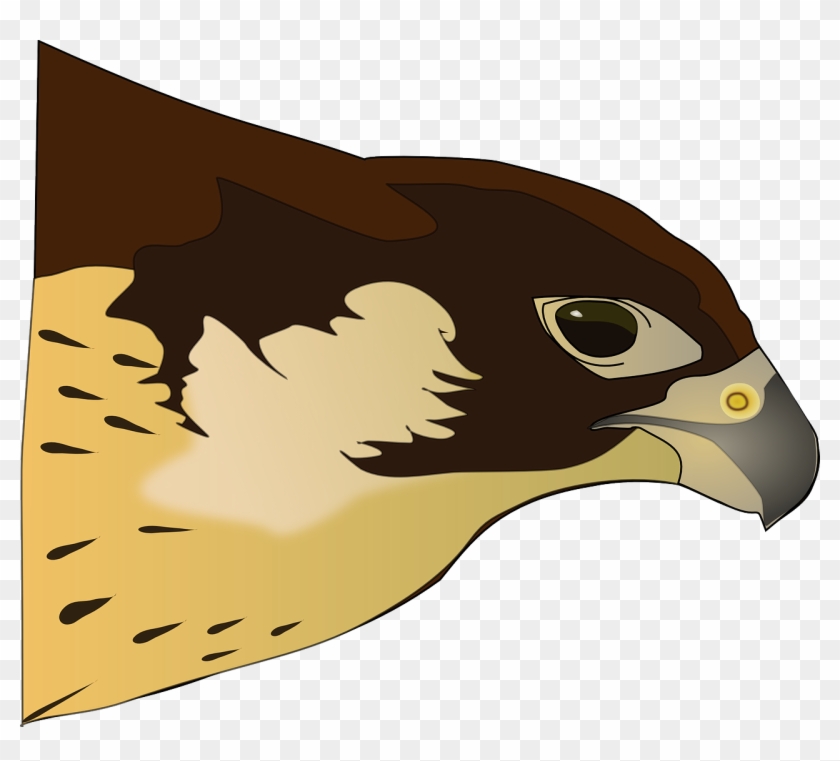 Hawk Clip Art - Clipart Hawk #180243