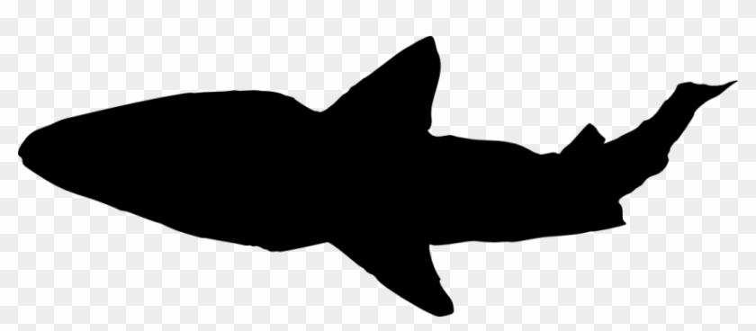 Shark Silhouette Png - Shark Silhouette Jpg #180254