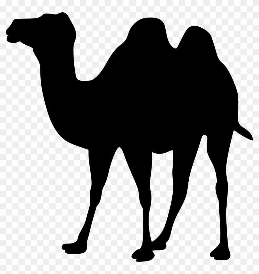 Silhouette Signs - Camel Silhouette Png #180289