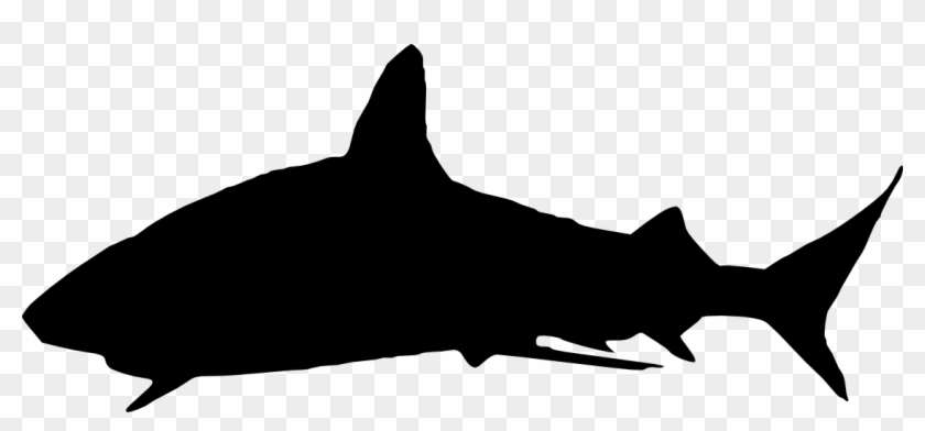 6 Shark Silhouette - Shark Silhouette Png #180293