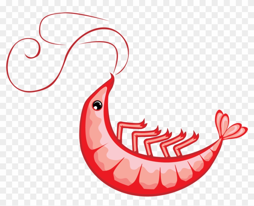 Shrimp Vector Clip Art - Clip Art #180304