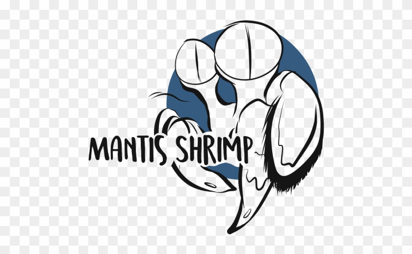 Mantis Shrimp Drawing - Mantis Shrimp #180309