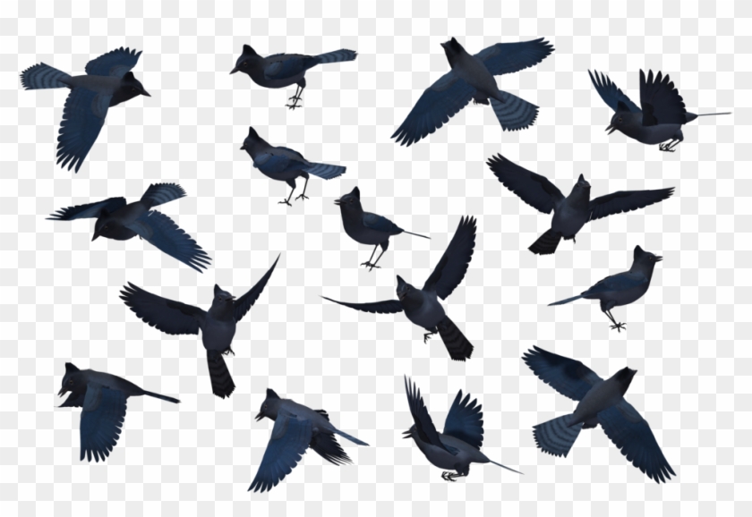 Requested Bird Set - Blue Jay Bird Silhouette #180316