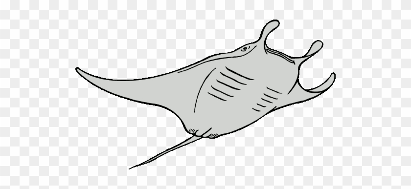 Devil Ray Clipart - Ocean Animals Coloring Pages #180366