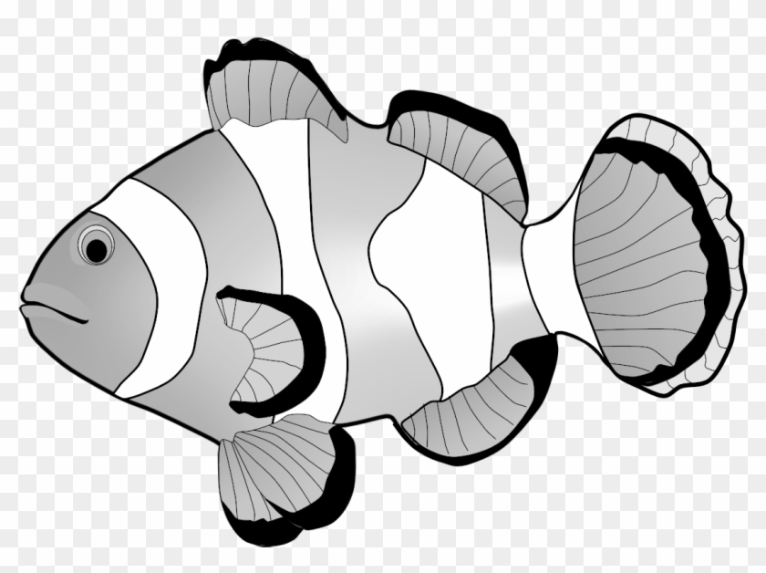 Clownfish Clipart - Clown Fish Clipart Black And White #180437