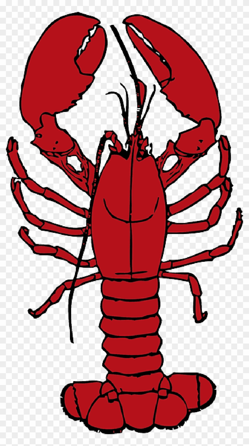 Cartoon, Ocean, Lobster, Crab, Sea, Crustaceans, Hermit - Red Lobster Clip Art #180443