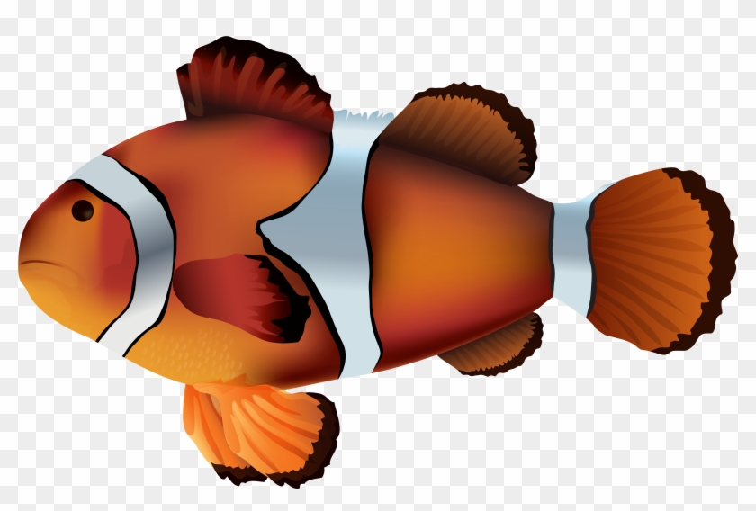 Clownfish Png Transparent Clip Art Image - Clownfish Png #180455