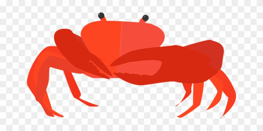 Crab Cancer Animal Shellfish Pliers Sea Se - Cancer Animal Png #180458