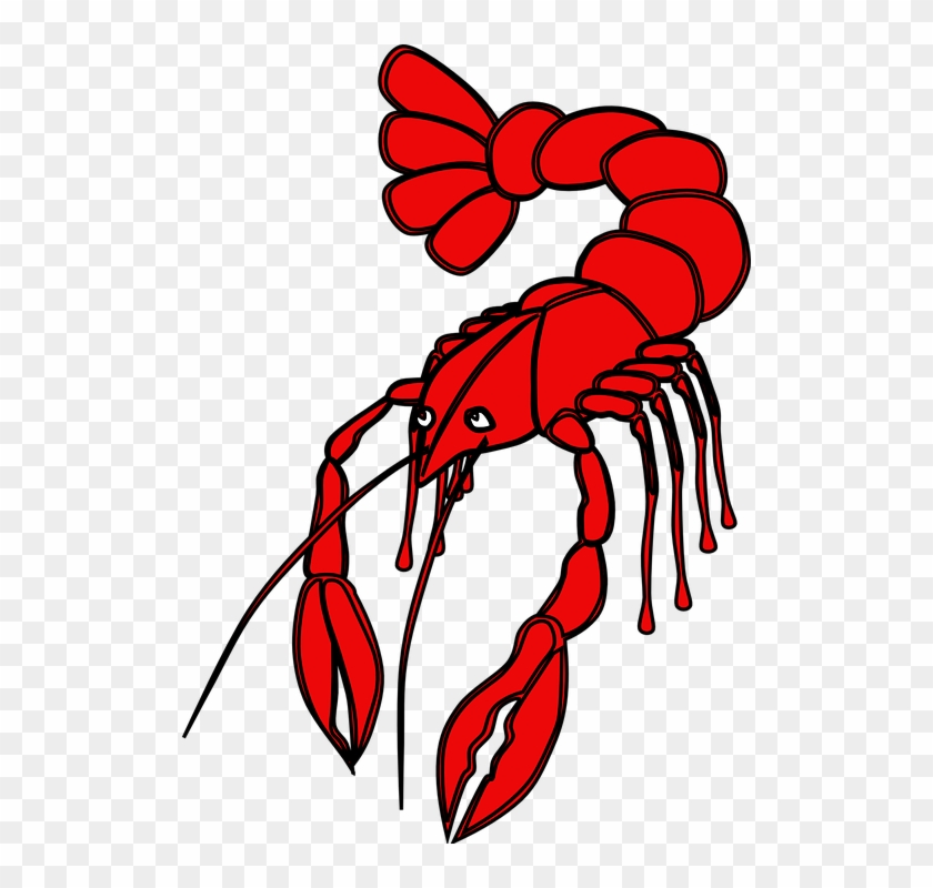 Crayfish Clipart Crustaceans - Crawfish Vector #180460