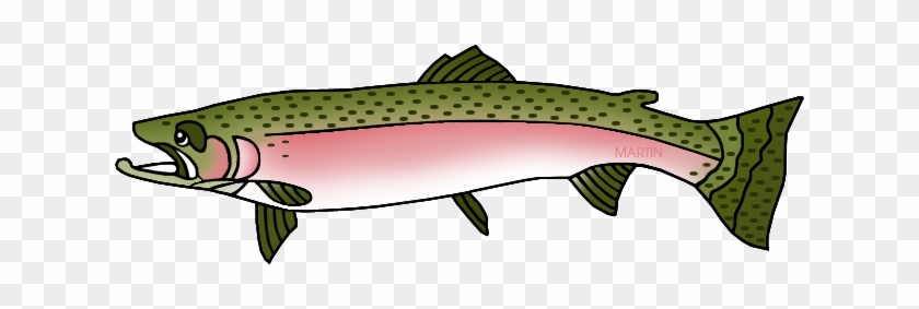 Steelhead Trout - Washington State Fish Clipart #180521