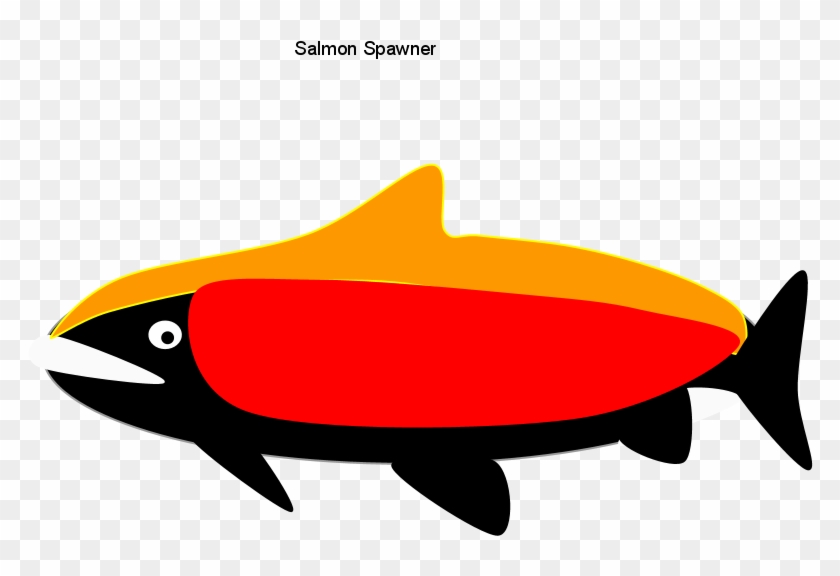 Salmon Spawner - Coho #180522