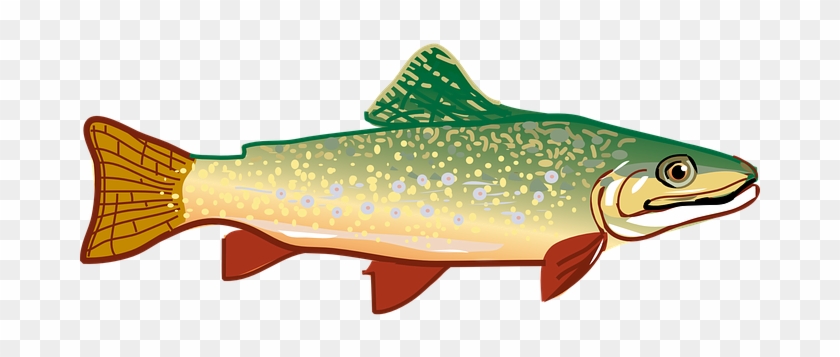 Trout Fish Rainbow Trout Animal Fish Fish - Trout Clipart #180561