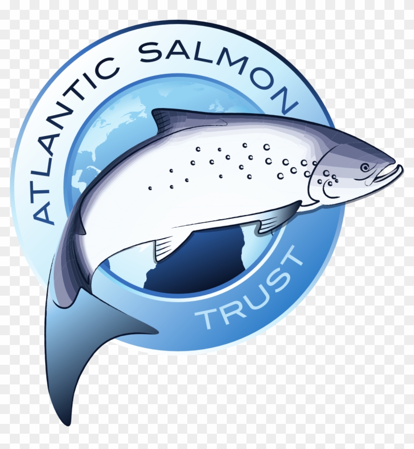 Http - //www - Atlanticsalmontrust - Org/ - North Atlantic Salmon Trust #180572