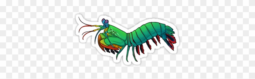 Design A Mantis Shrimp Mascot Logo - Cartoon Peacock Mantis Shrimp #180683