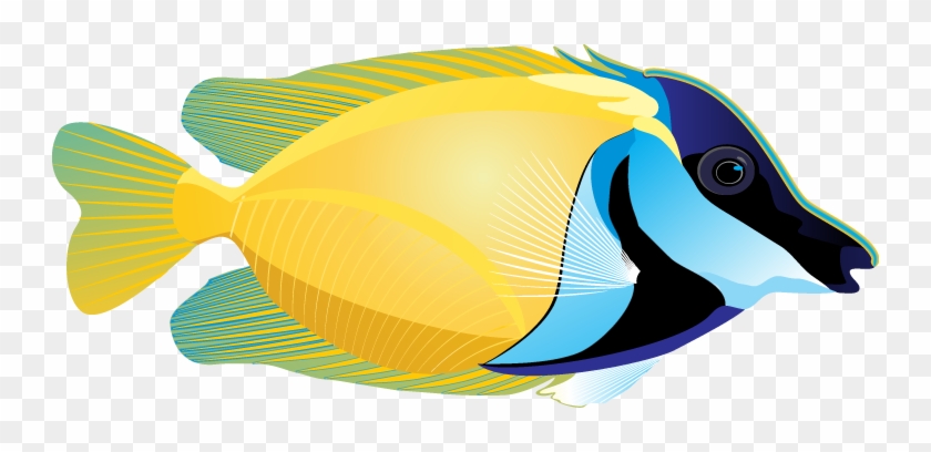 Realistic Fish Clipart - Stickers Poisson Ocean 3 - Free