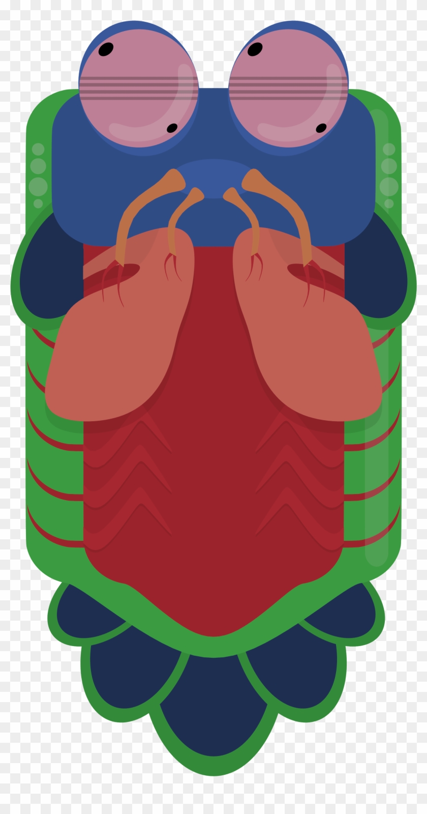 Animal[animal] [artwork Only] Mantis Shrimp - Deeeep Io Mantis Shrimp #180709
