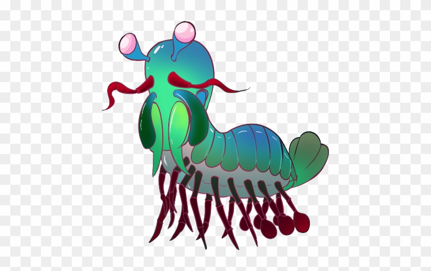 Stomatopoid - “ - Illustration #180737