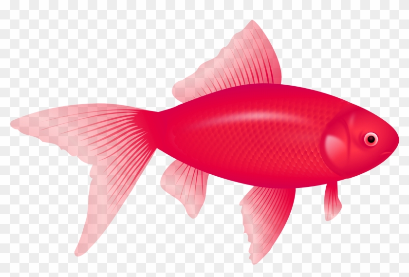 One Fish, Two Fish, Red Fish, Blue Fish Clip Art - One Fish, Two Fish, Red Fish, Blue Fish Clip Art #180747