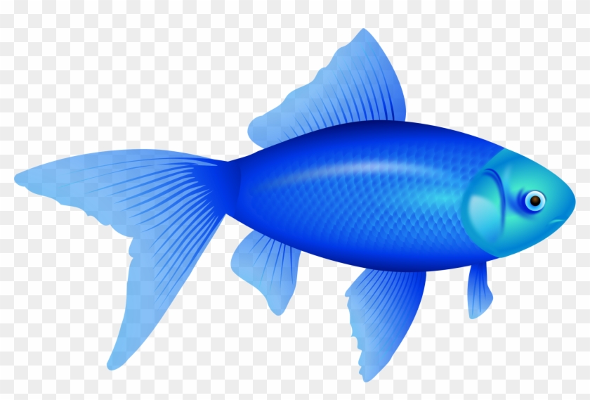 How To Move Two Different Images Across The Screen - Fish Clipart No Background #180833