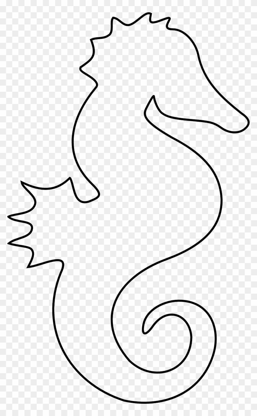 Fish Outlines New Free Image On Pixabay Seahorse Ocean - Printable Seahorse Template #180839