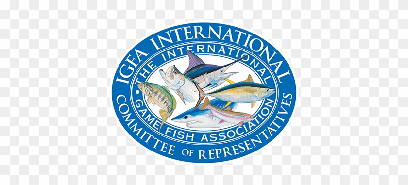 Rod Fishing Club - International Game Fish Association #180860