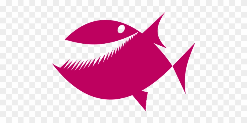 Piranha Pink Fish Predator Teeth Marine Aq - Piranha Rosa #180861