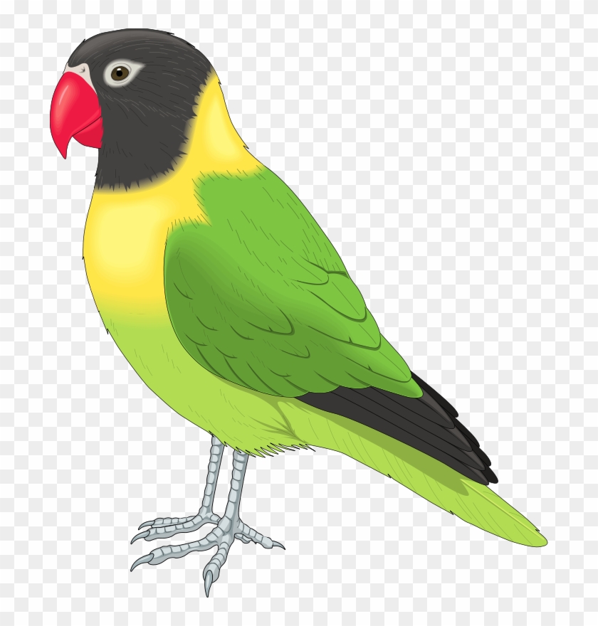 Free Clip Art Animals - Pet Bird Clipart #180905