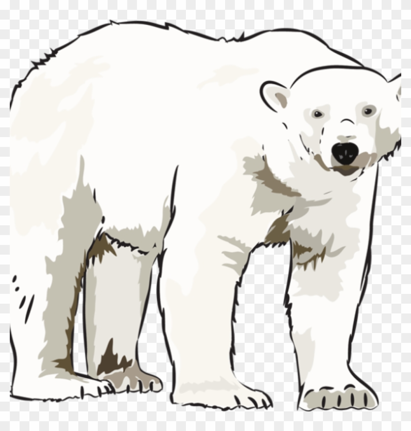 Polar Bear Clipart Art Polar Bear Clipart Clipart Kid - Polar Bear Clipart #180997