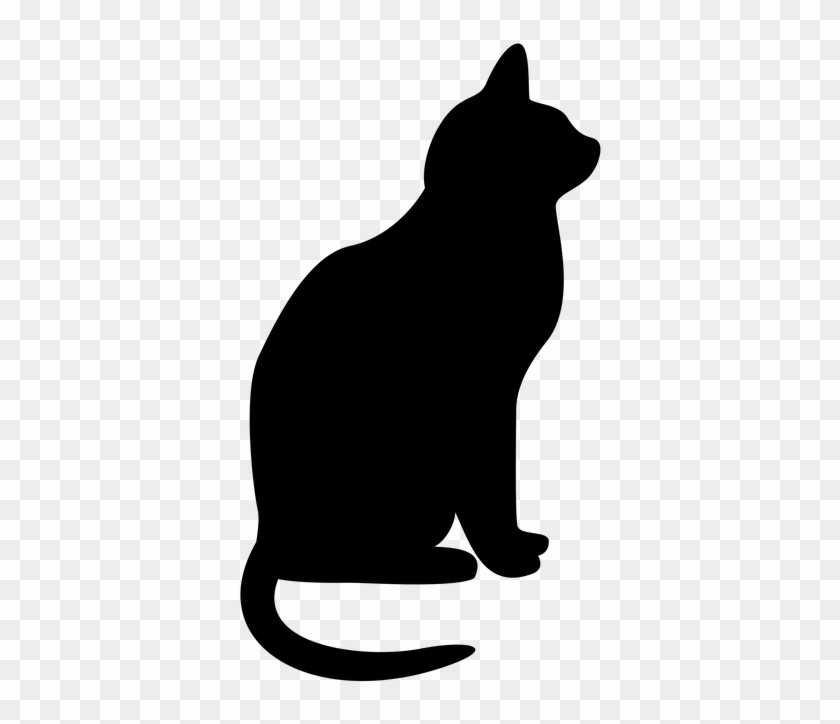 Tail Clipart Cat Shadow - Draw A Motorcycle Easy #181425