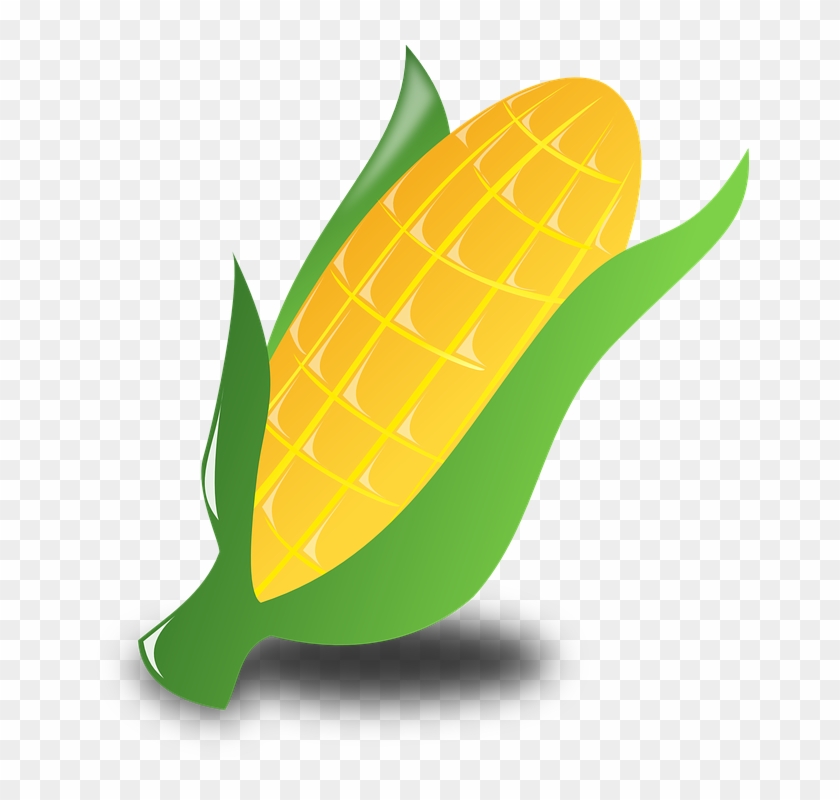 Corn Cub Clip Art At Clker Com Vector Clip Art Online - Corn Clip Art #181464