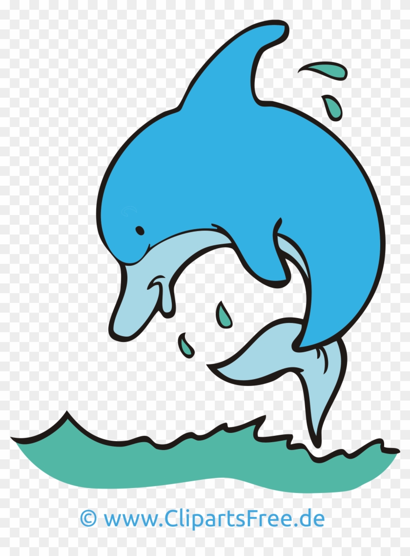 Delfin Clipart, Bild, Cartoon, Grafik Kostenlos - Ochrona Środowiska #181490