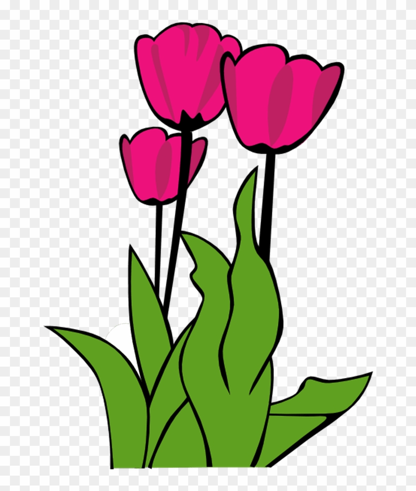 Free Spring Clip Art For All Your Projects - Tulip Clip Art #181567