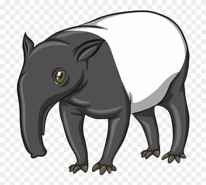 Malayan Tapir Royalty-free Clip Art - Tapir Vector #181690