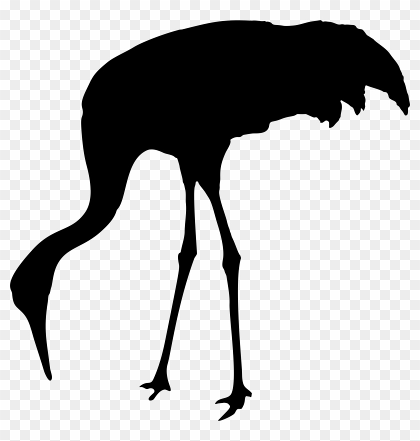 Silhouettes - Sandhill Crane Silhouette #181937