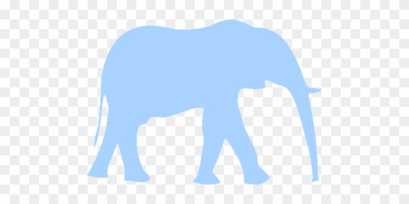 Elephant, Animal, Huge, Mammal, Walking - African Rainforst Elephants Are Blue #182205