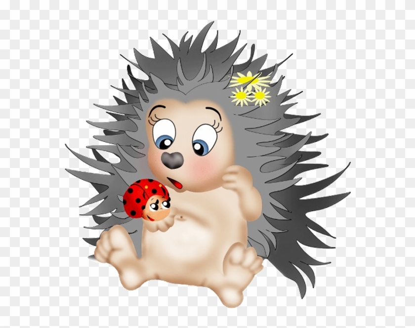 Discover - Cartoon Cute Porcupine Drawing #182230