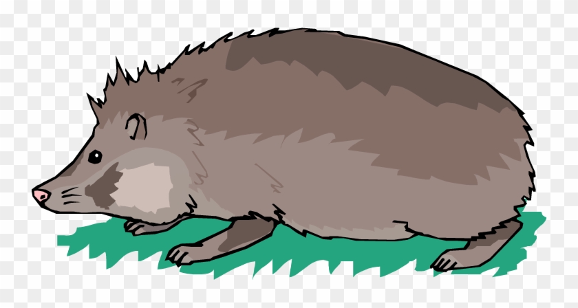 Hunting Hedgehog - Illustration #182311