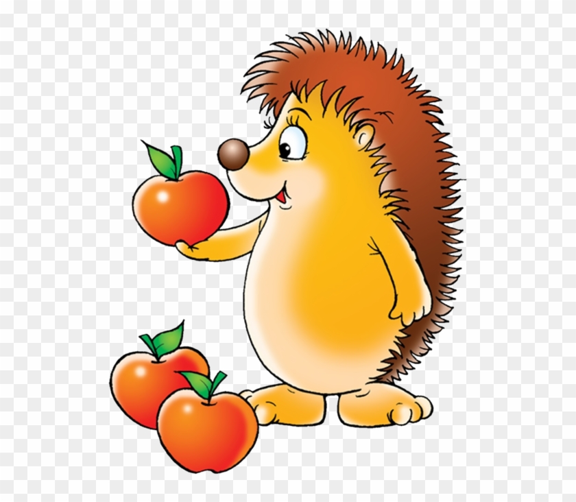 Ёжик Пнг - Hedgehog Clipart #182336