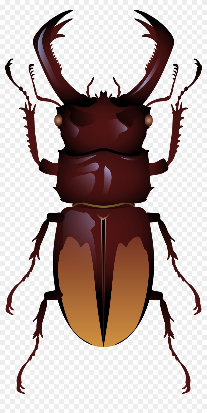 Beetle Png Clip Art - Beetle Insect Transparent Png #182340
