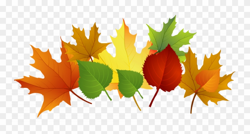 Download Exciting Clip Art Of Fall Leaves - Download Exciting Clip Art Of Fall Leaves #1027176