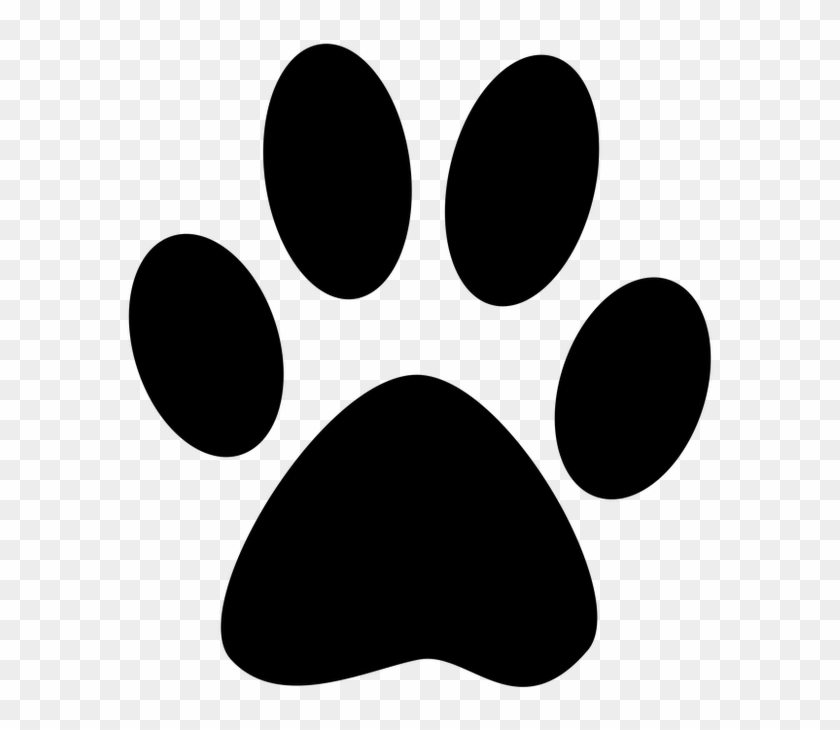 Best Of The Best - Lion Paw Print #1027304