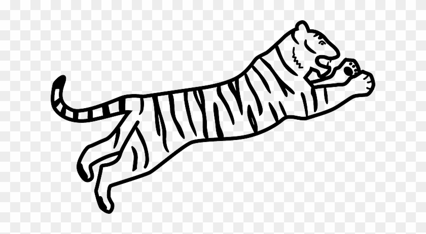 Nature Tiger, Wildcat, Animal, Cat, Nature - Bengal Tiger Easy Drawing #1027313