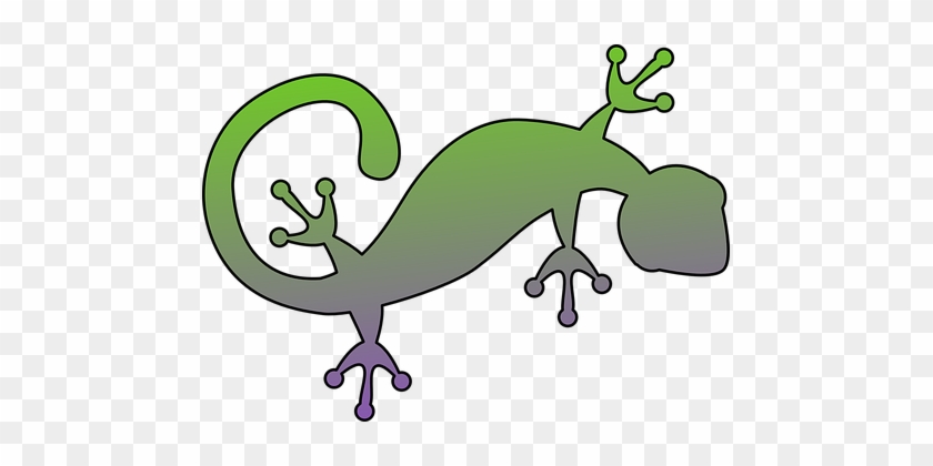 Gecko, Salamander, Lizard, Animal - Gecko Clip Art #1027358