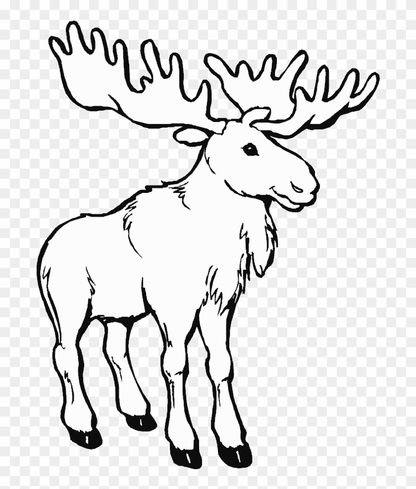 Caribou Clipart Coloring Page - Moose Coloring Pages #1027428