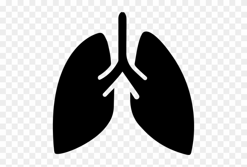 The Brain Requires Oxygen & Will Function More Efficiently - Lungs Icon Png #1027595